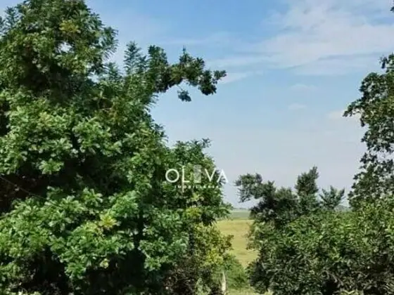 Foto de capa — Chácara em Zona Rural, Monte Aprazível