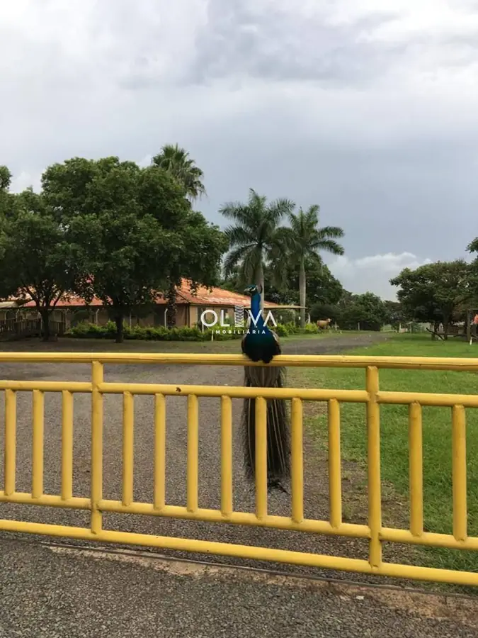 Foto de capa — Sítio em Zona Rural, Nhandeara