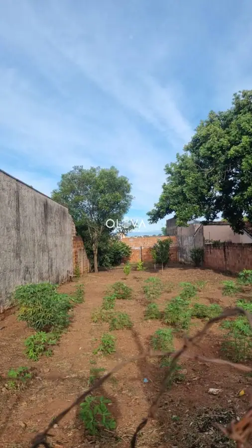 Foto de capa — Terreno em Jardim Soto, Catanduva